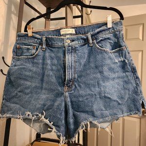 CURVE Love 4" Mom Short High Rise